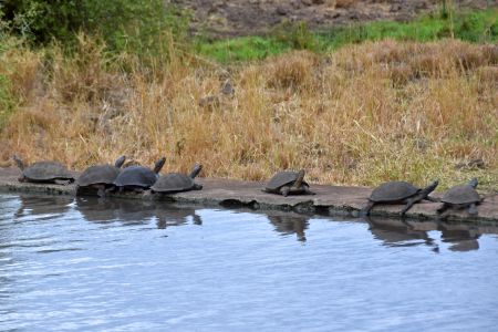 Recreation Time at Nambale